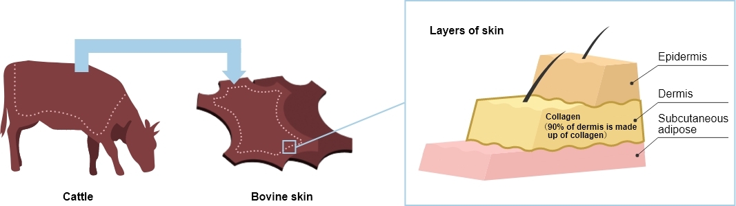 Future applications of collagen products