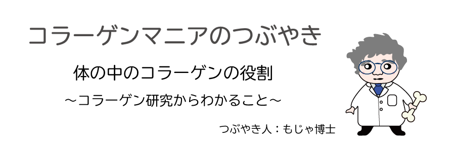 体のなかのコラーゲンの役割～コラーゲン研究からわかること～