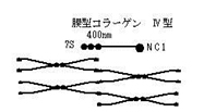 様々なタイプのコラーゲン